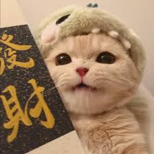 Avatar người dùng Nam Dương